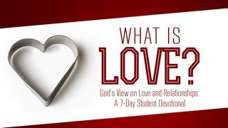 What is Love? God's View On Love And Relationships