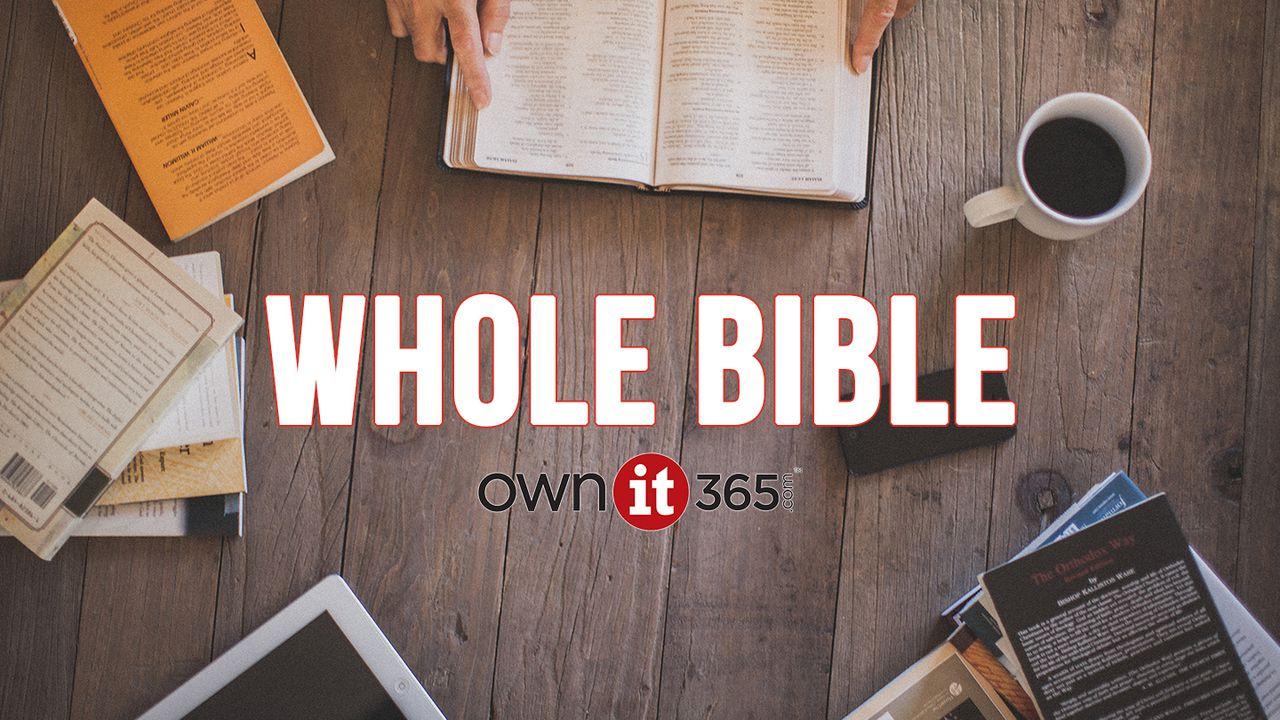 OWNit365 Whole Bible Plan