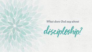 What Does God Say About Discipleship?
