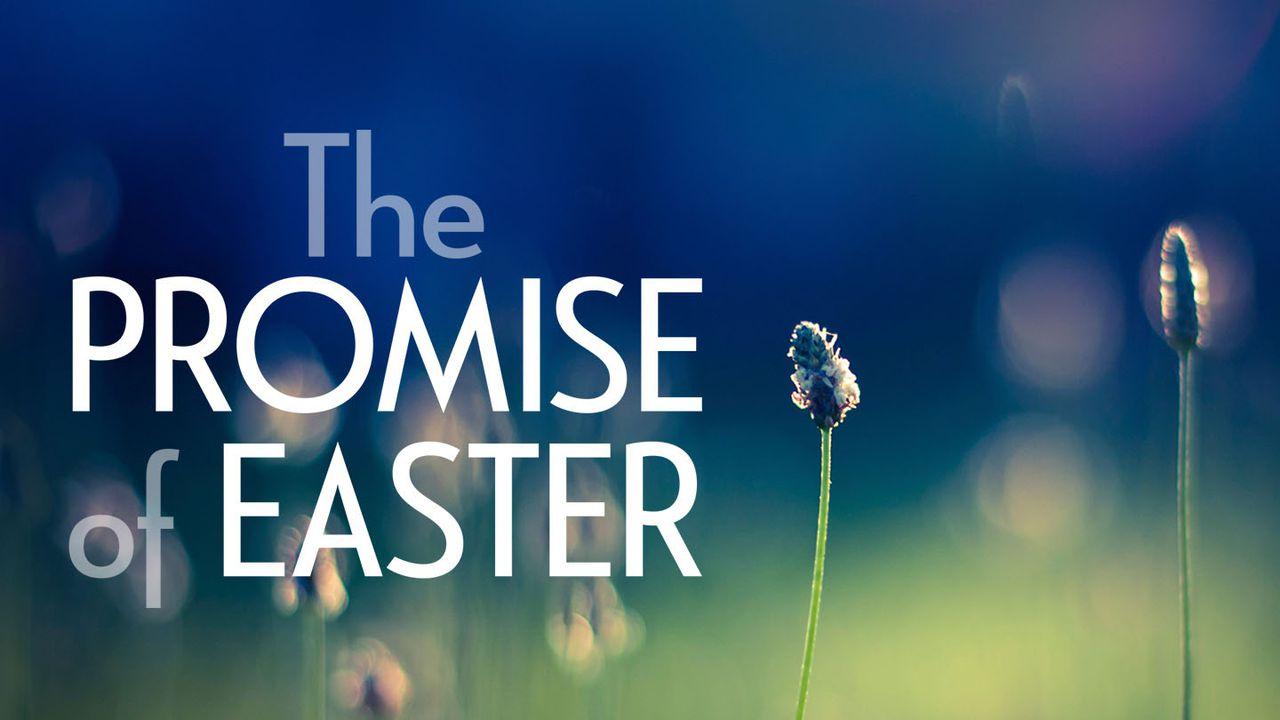 Our Daily Bread: The Promise of Easter
