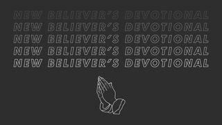 New Believer's Devotional