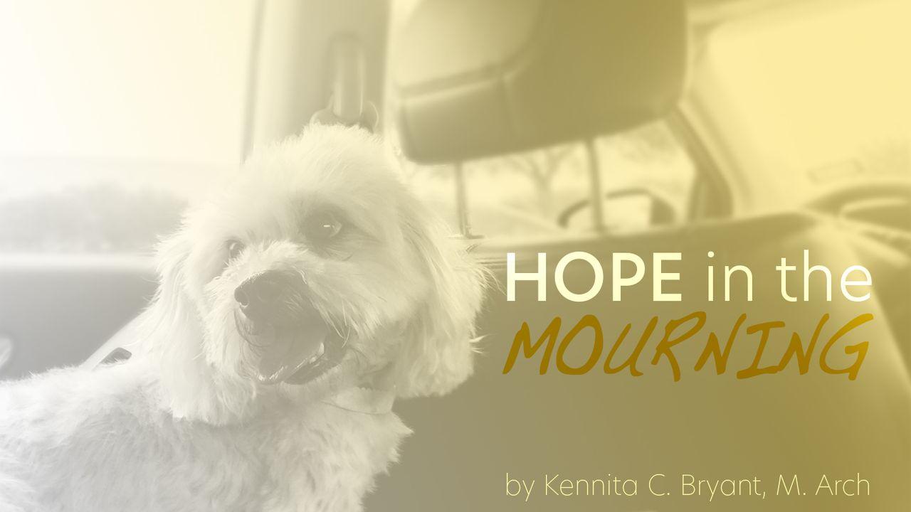 Hope in The Mourning