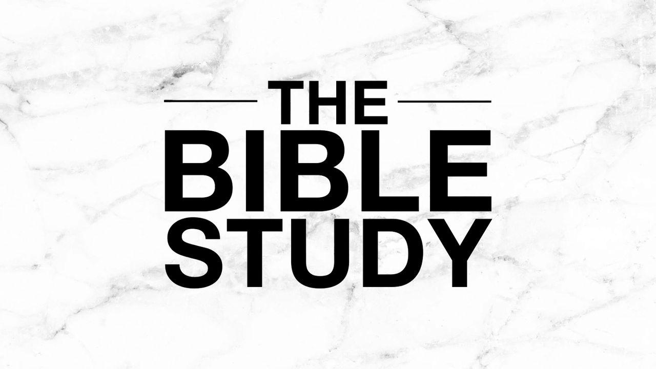 The Bible Study Reading Plan