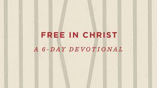 Free In Christ: A 6-Day Devotional