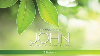 The Gospel Of John: Discovery And Reflection Guide