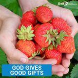 God Gives Good Gifts