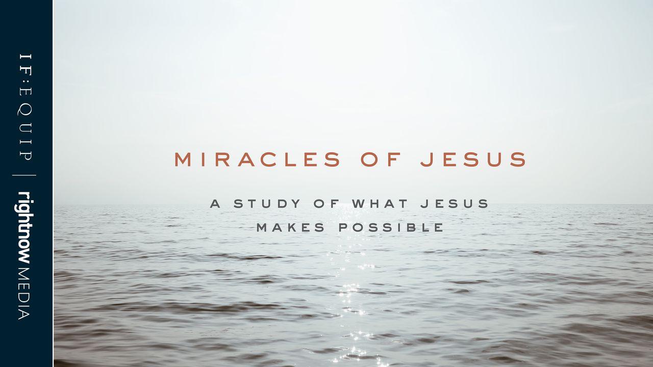 Miracles Of Jesus: A 5-Day Study Of What Jesus Makes Possible