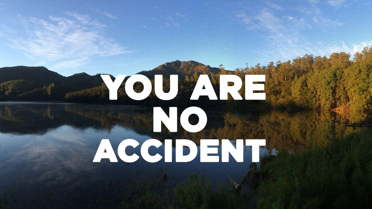 You Are No Accident