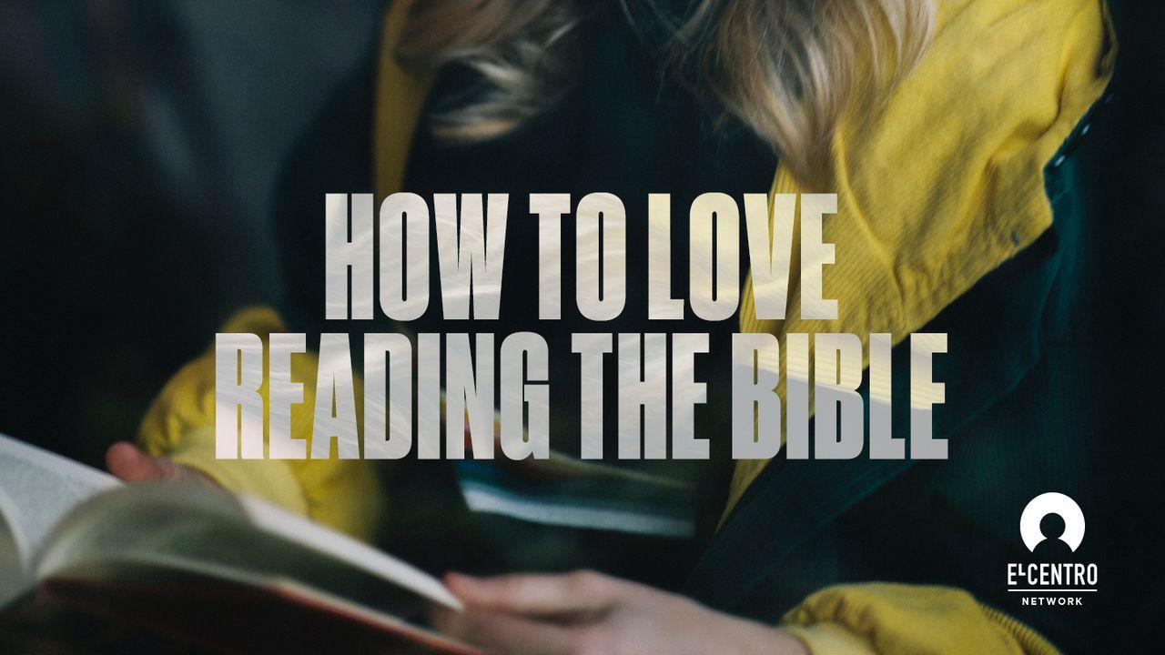 How To Love Reading The Bible