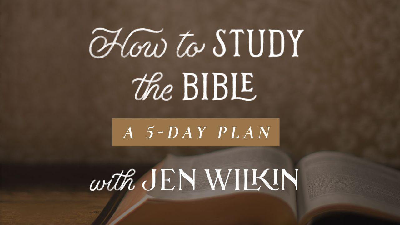 How to Study the Bible: A 5-Day Plan with Jen Wilkin