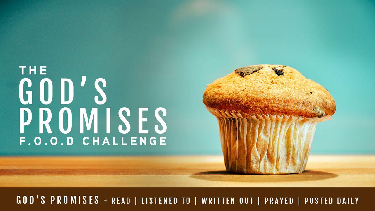 God's Promises FOOD Challenge 2