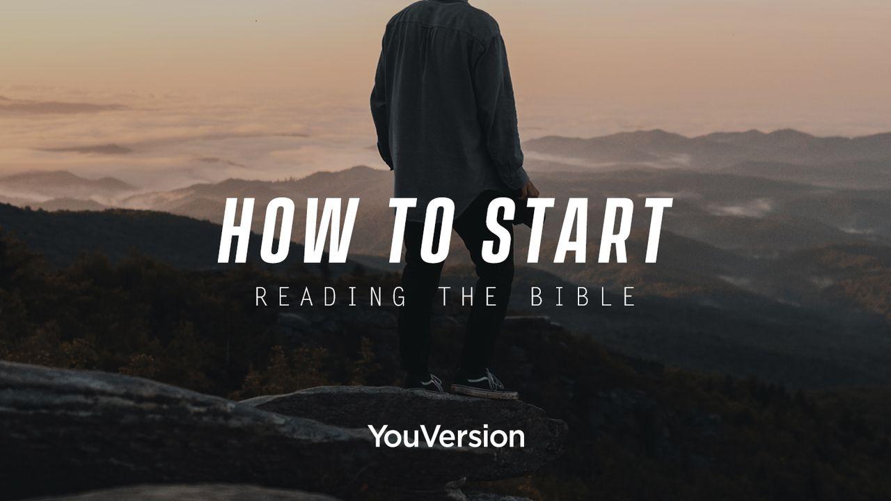 How to Start Reading the Bible