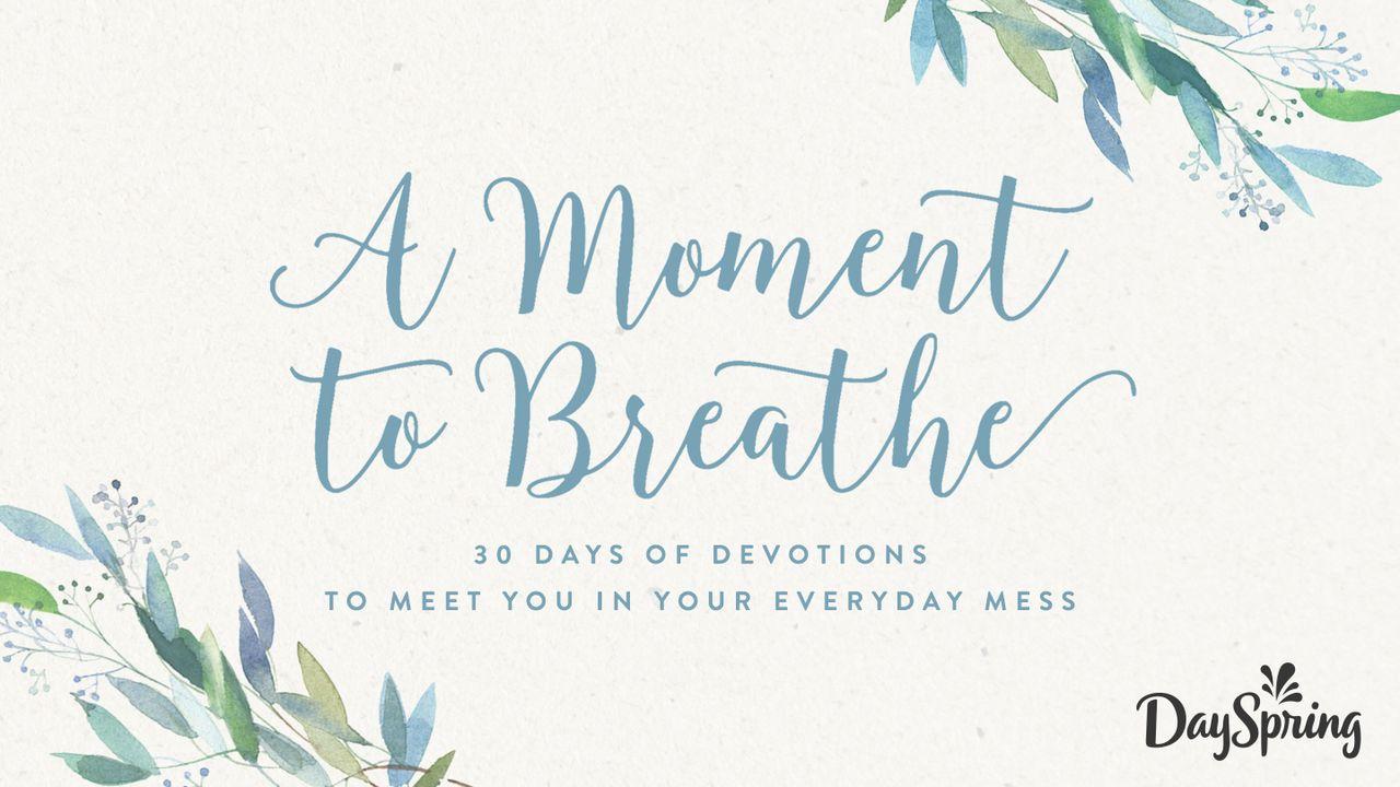 A Moment To Breathe: Find Rest In The Mess