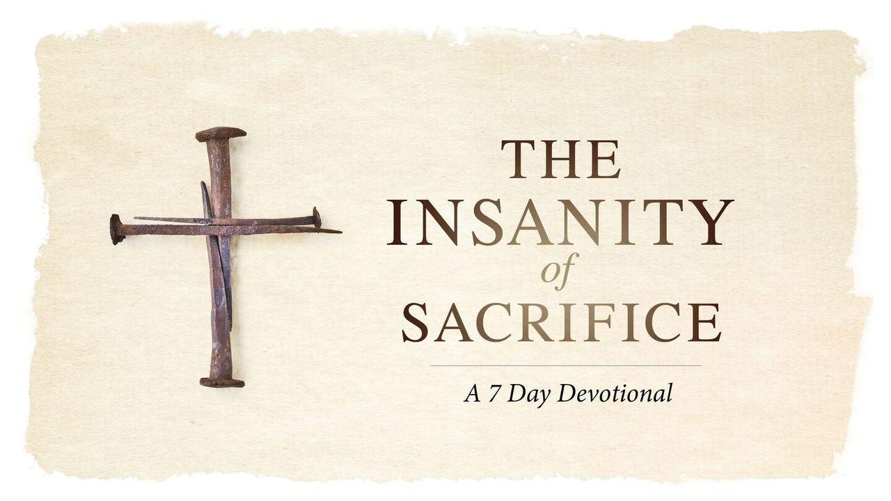 The Insanity Of Sacrifice - A 7 Day Devotional