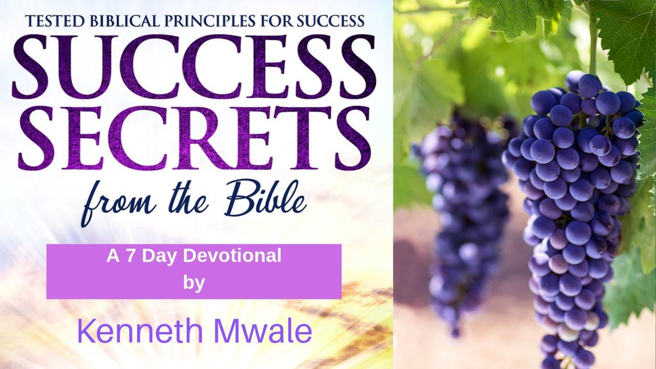 Success Secrets From The Bible