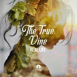 [Real Life] The True Vine