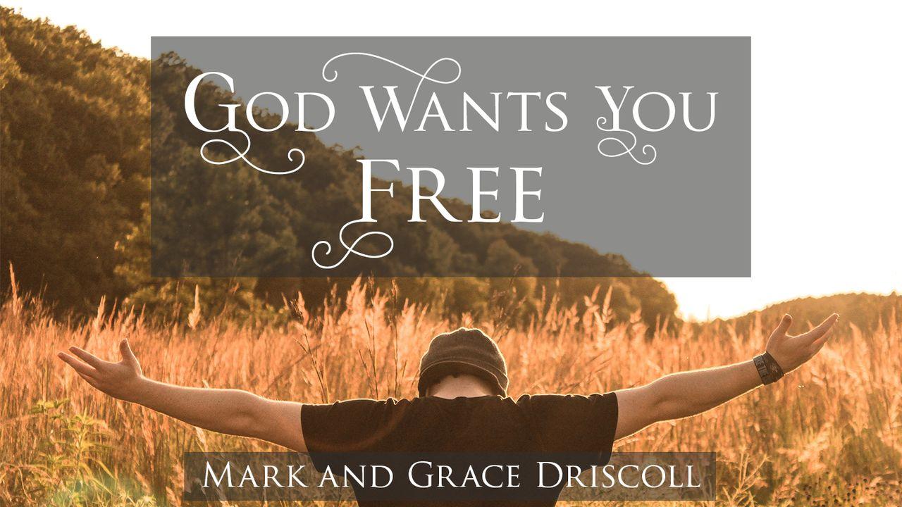 God Wants You Free