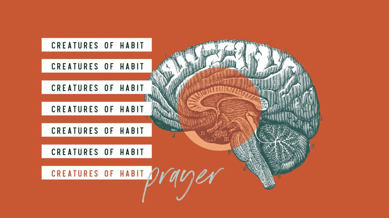 Creatures of Habit: Prayer