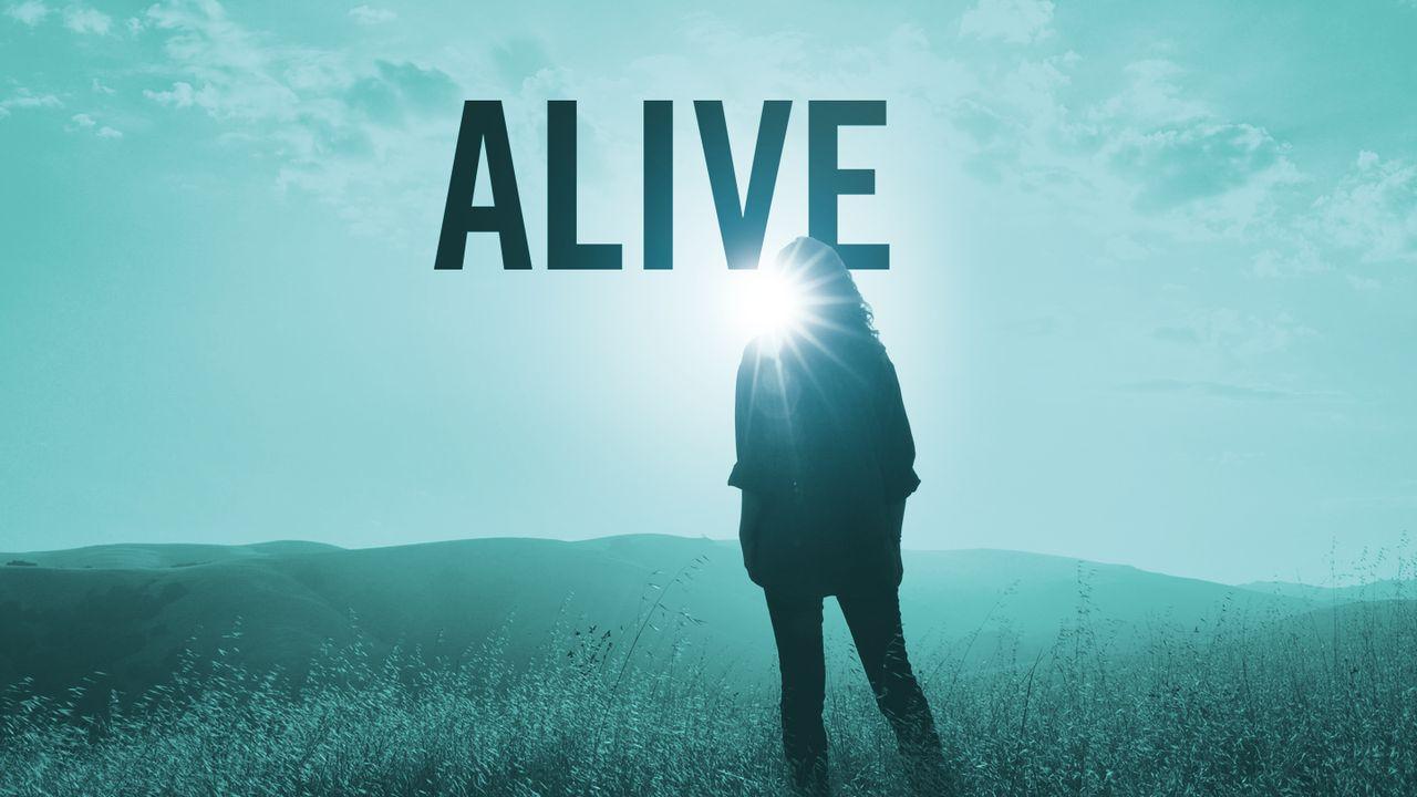 Alive: Lent Devotionals