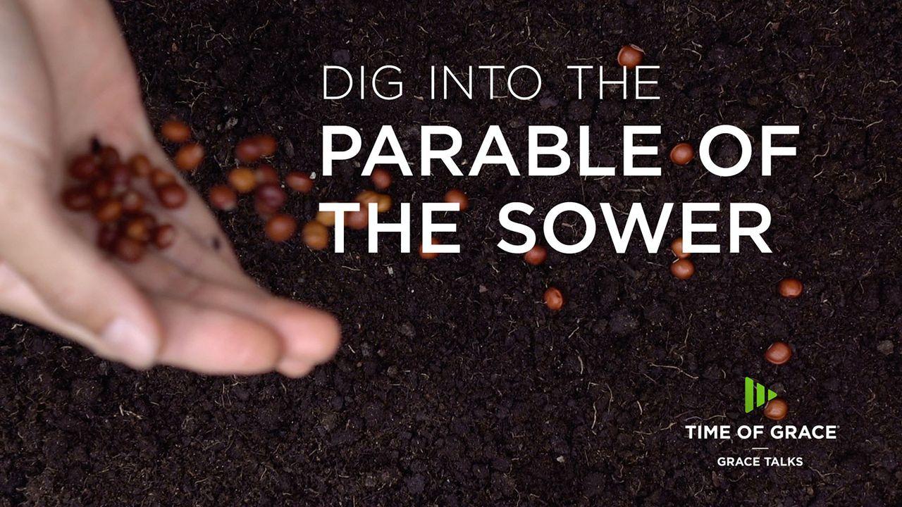 Dig Into The Parable Of The Sower
