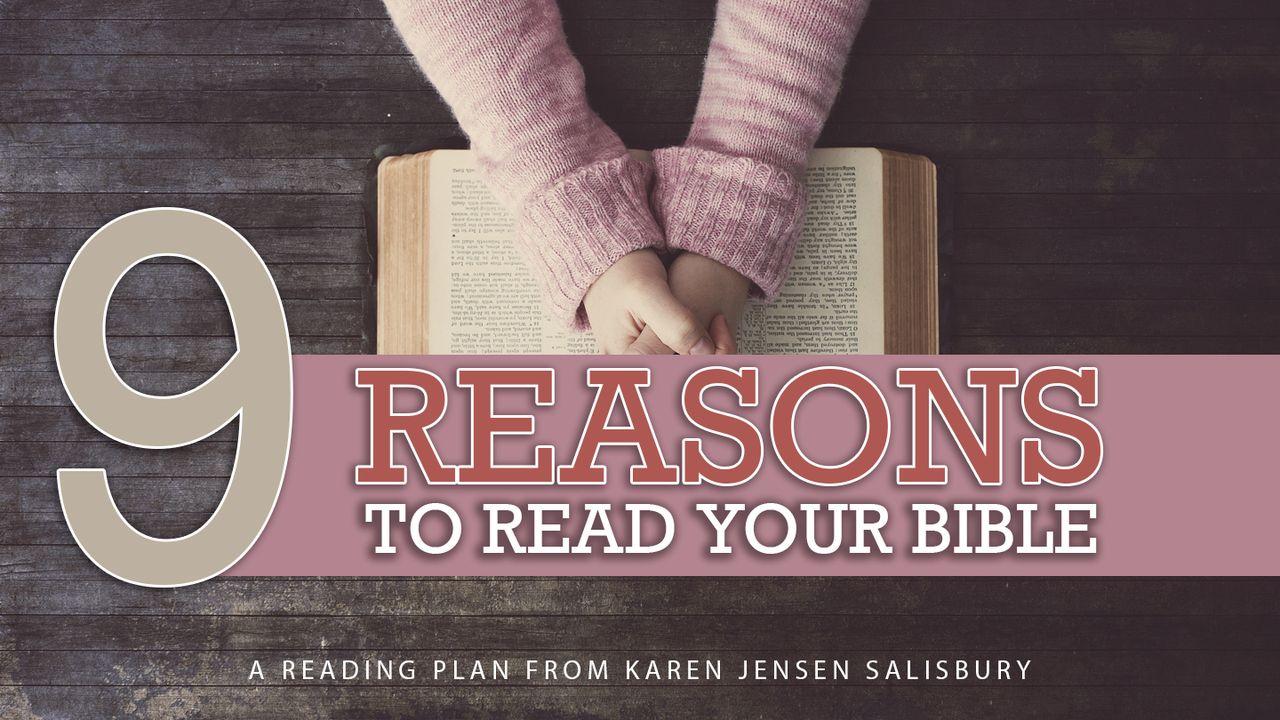 Nine Reasons to Read Your Bible