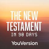 The New Testament in 90 Days