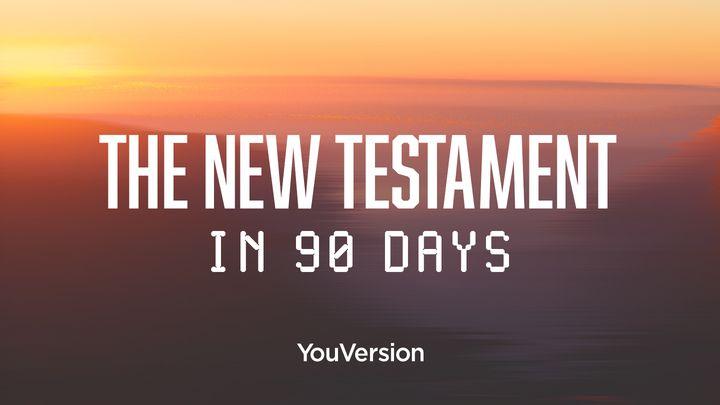 Het Nieuwe Testament in 90 dagen