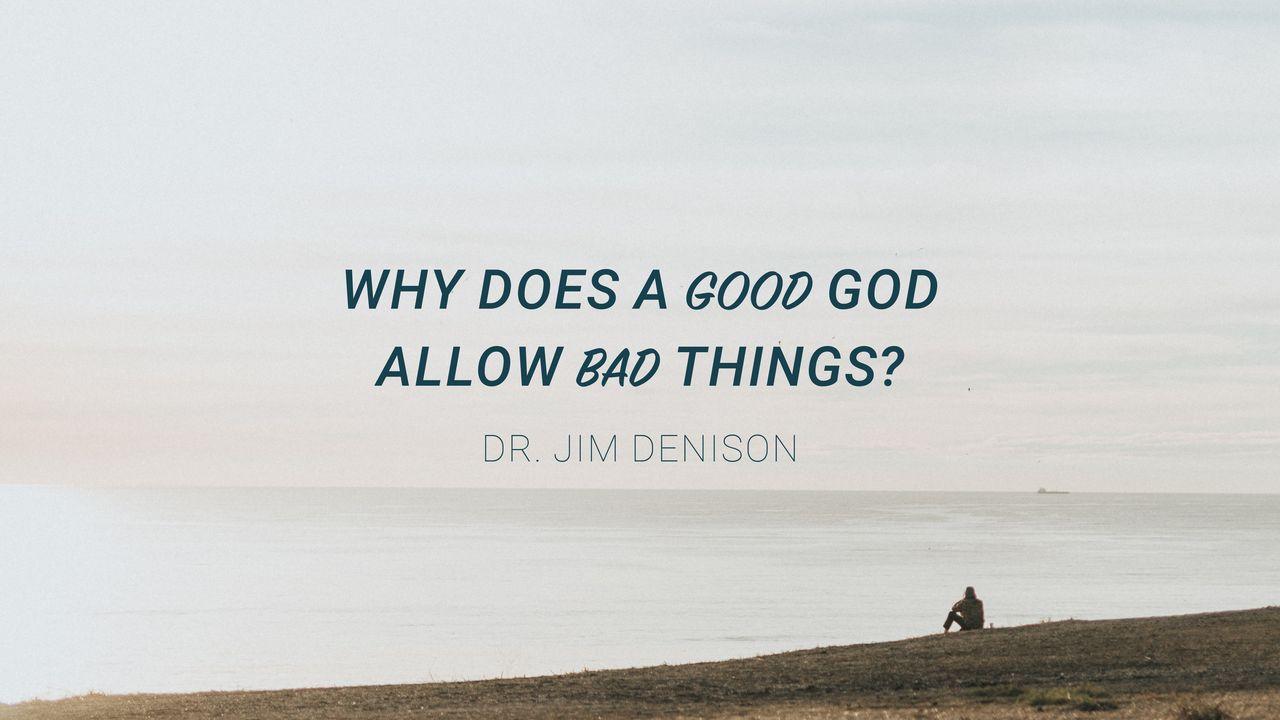 Why Does a Good God Allow Bad Things?