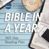 Bible in a Year: 365-Day Reading Plan