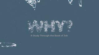 Why?: A Study Through Job