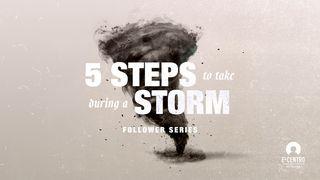 Gregg Matte - 5 Steps to Take During a Storm