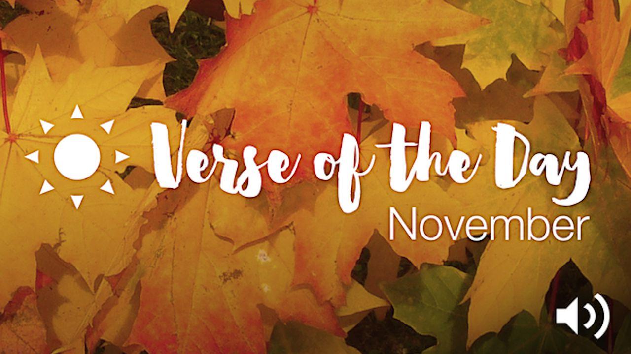 YouVersion Verse Of The Day: November 2015