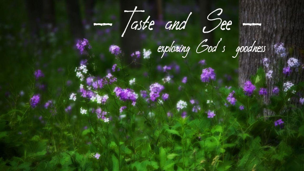 Taste and See: Exploring God's Goodness