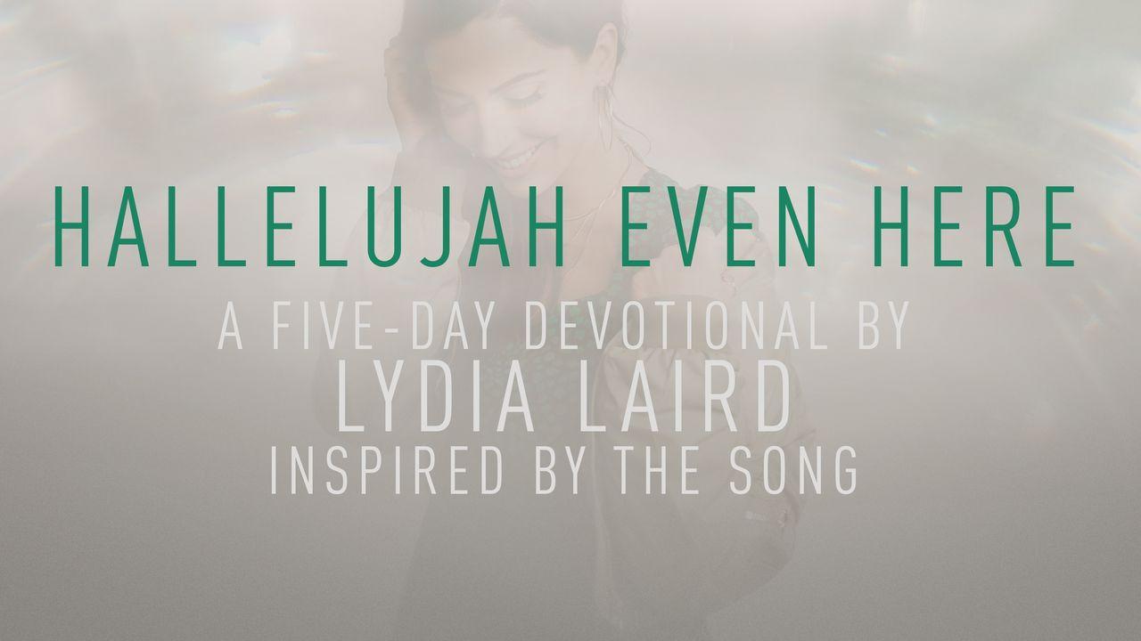 Hallelujah Even Here: A 5 Day Devotional by Lydia Laird