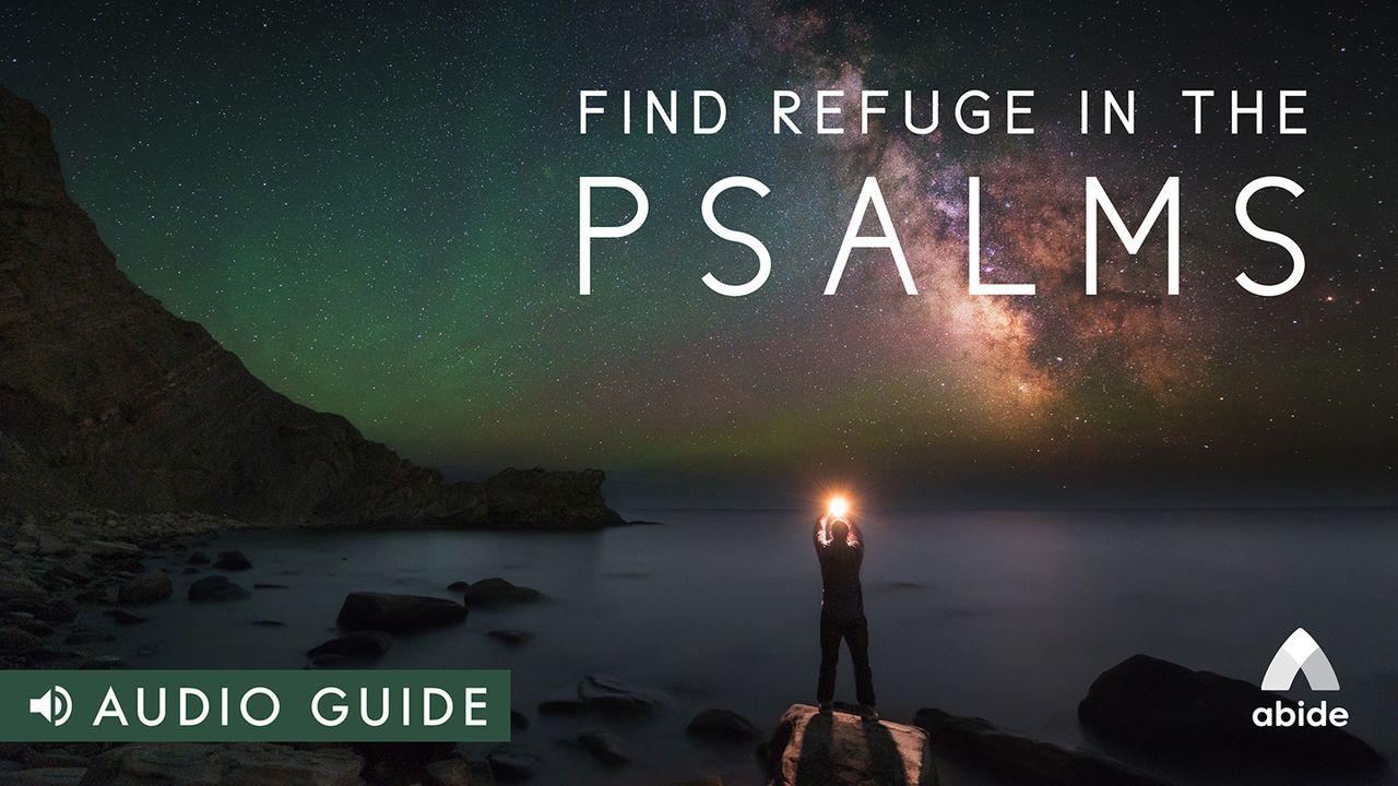 Find Refuge in the Psalms