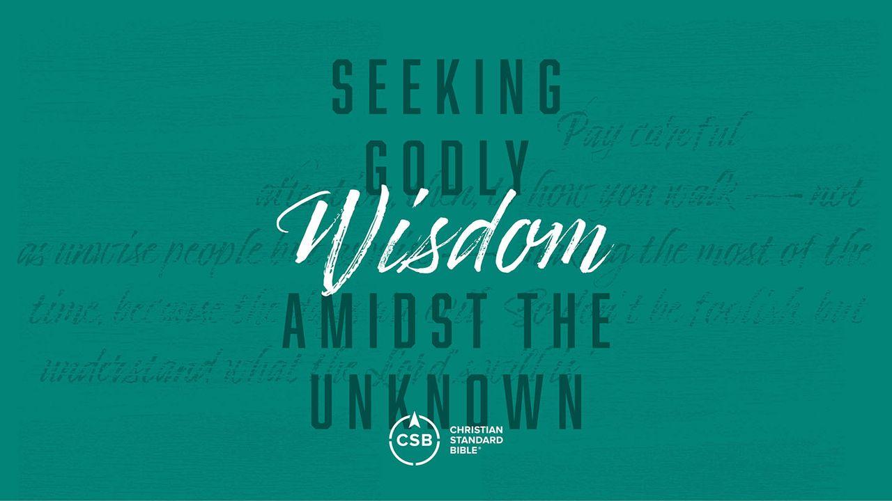 Seeking Godly Wisdom Amidst the Unknown