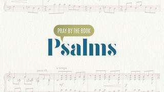 Pray By The Book: Psalms