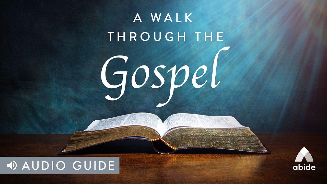 A Walk Through the Gospels