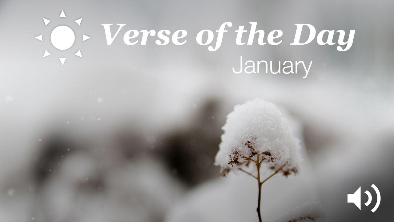YouVersion Verse Of The Day: January 2016
