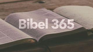Bibel 365