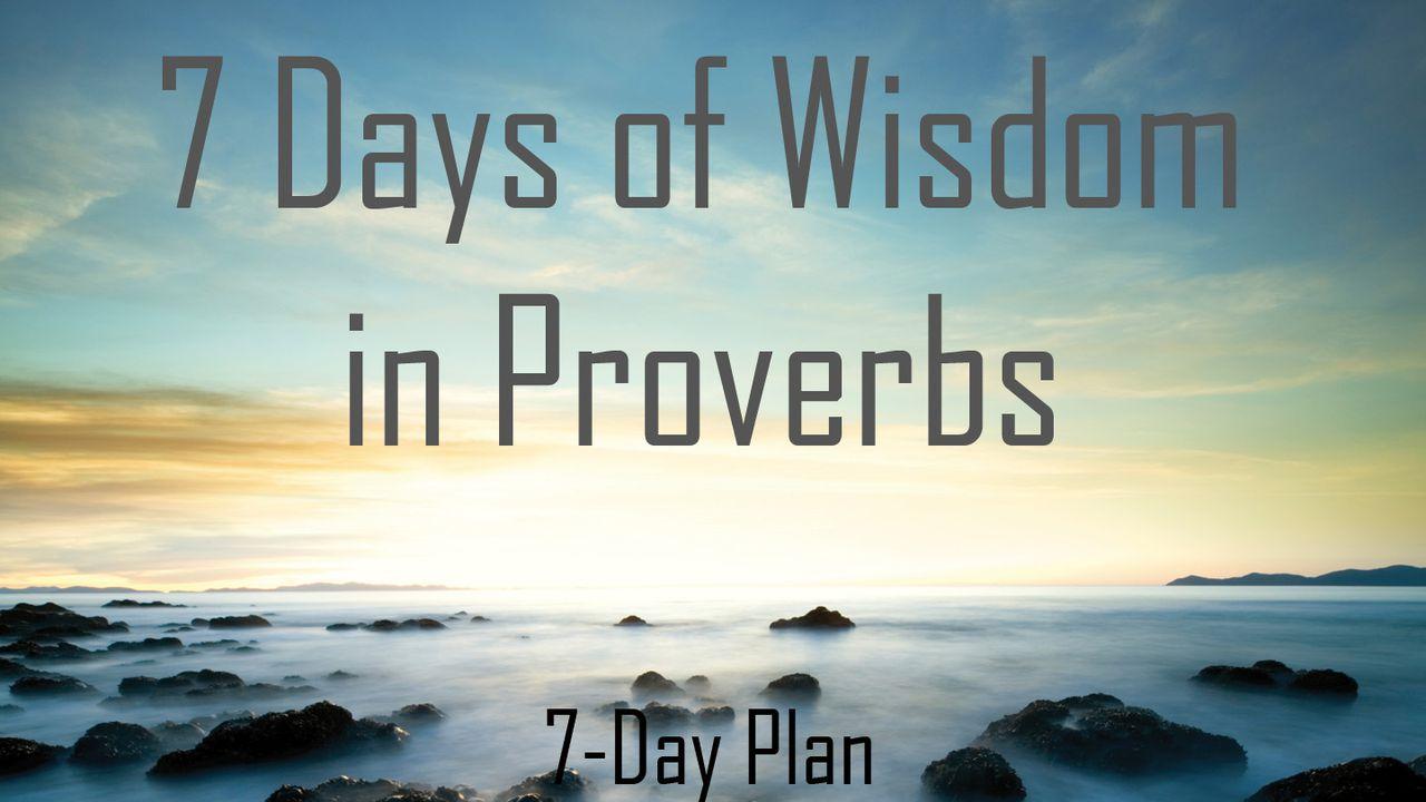 7 Days Of Wisdom In Proverbs