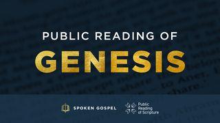 Public Reading of Genesis