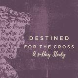 Destined for the Cross