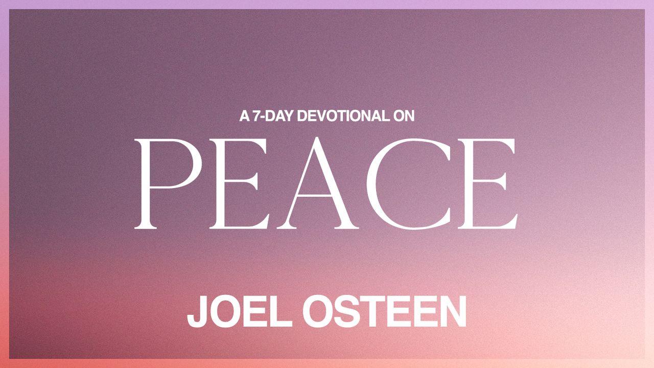 A 7-Day Devotional on Peace
