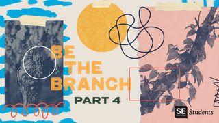 SE Students - Be the Branch - Part 4