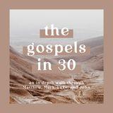 The Gospels in 30