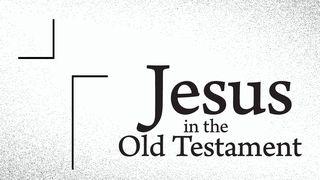 See Jesus in the Old Testament