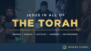 Jesus In All Of The Torah - A Video Devotional