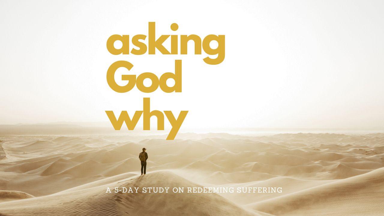 Asking God Why
