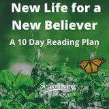 New Life for a New Believer